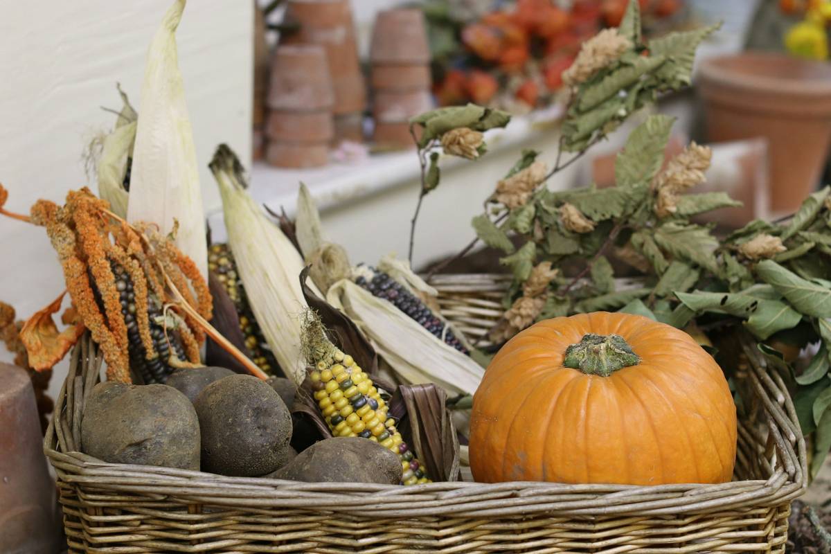 Minimalist thanksgiving home decor ideas using natural branches and neutral linens