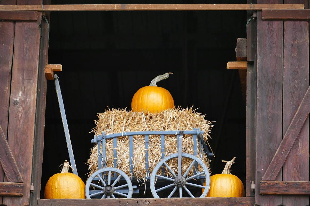 Handmade thanksgiving home decor nearby displayed on a farmhouse table with pumpkins, candles, and linen runners