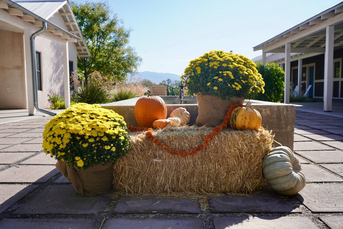 thanksgiving home decor crafts That Actually Feel Like Home