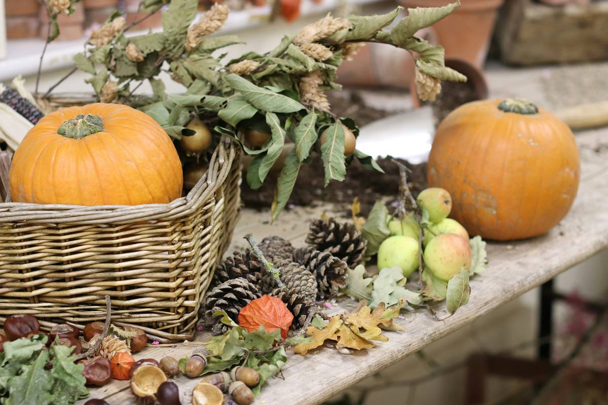 Special Occasion Thanksgiving Happy From Our: 7 Proven Ways to Avoid Painful Decorating Mistakes